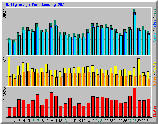 Daily usage for January 2024