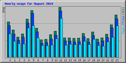 Hourly usage for August 2019