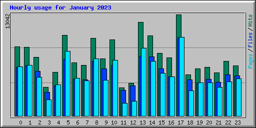 Hourly usage for January 2023