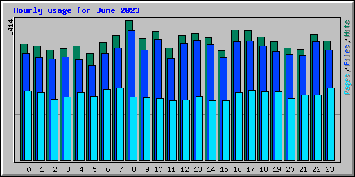 Hourly usage for June 2023