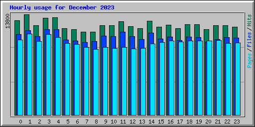 Hourly usage for December 2023