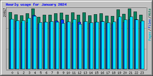 Hourly usage for January 2024