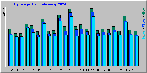 Hourly usage for February 2024