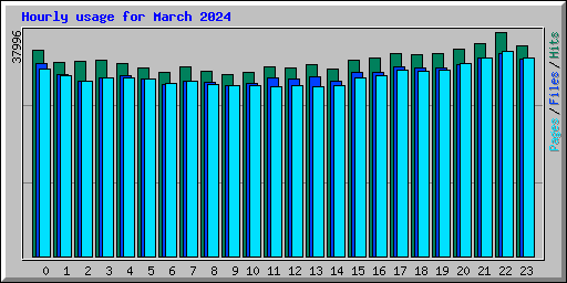 Hourly usage for March 2024