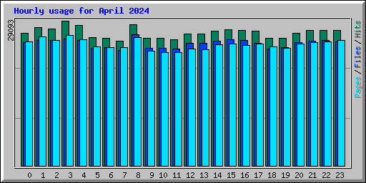 Hourly usage for April 2024