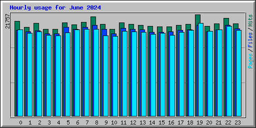 Hourly usage for June 2024