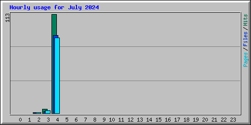 Hourly usage for July 2024