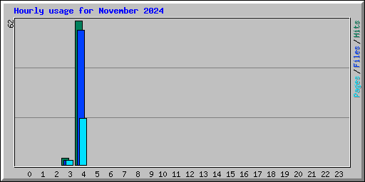 Hourly usage for November 2024