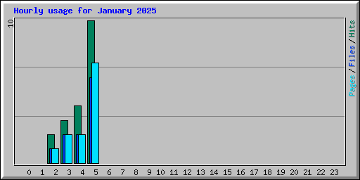 Hourly usage for January 2025