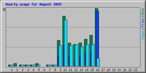 Hourly usage for August 2025